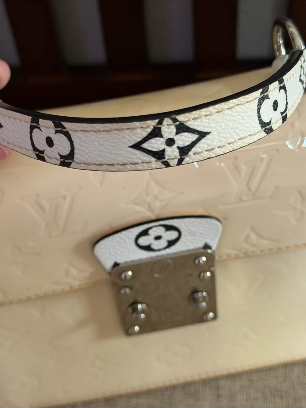 Louis Vuitton authentic louis